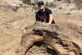 Student unearths 65 million-year-old Triceratops skull in U.S.