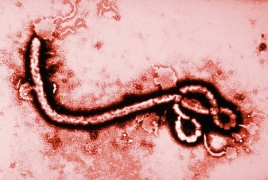 Deployment of second Ebola vaccine would not be quick fix: experts