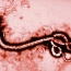 Deployment of second Ebola vaccine would not be quick fix: experts