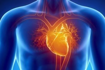 Good heart health in middle age linked to lower dementia risk ...