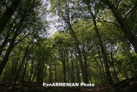 Ստեփանավանի անտառներում սենսորային հսկիչ սարքեր են տեղադրվել