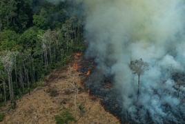 7 стран Южной Америки договорились защищать леса Амазонии