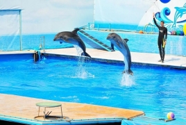 TripAdvisor запретил продажу билетов в парки развлечений с китами и дельфинами