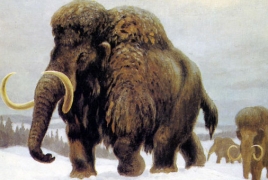 Last woolly mammoth died 4,000 years ago in the Arctic