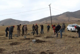 Vivacell-MTS helps plant wild trees in Armenian village