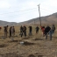 Vivacell-MTS helps plant wild trees in Armenian village