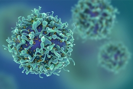 Cancer immunotherapy drug 