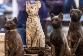 Egypt unveils mummified lion cubs, cats, crocodiles