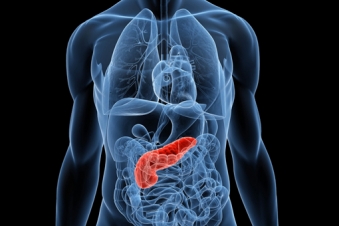 New treatment triggers self-destruction of pancreatic cancer cells ...