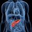 New treatment triggers self-destruction of pancreatic cancer cells
