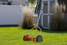 Lawn-mowing reduction could boost wildlife, save money