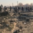 Жертвами авиакатастрофы в Иране стали граждане 7 стран