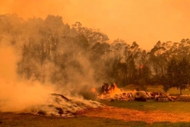 В результате пожаров в Австралии погибли более 1 млрд животных