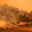 В результате пожаров в Австралии погибли более 1 млрд животных