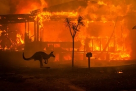 Australia will need a century to recover from bush fires