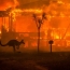 Australia to set lose billions due to bushfires across the country