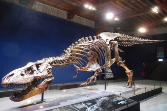 New study names exact reason why dinosaurs went extinct - PanARMENIAN.Net