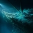 С затонувшего «Титаника» хотят достать бесценный артефакт