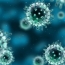 Число жертв нового вируса в Китае достигло 80 человек: Билл Гейтс выделил $10 млн на борьбу с коронавирусом