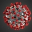 ВОЗ признала вспышку нового китайского коронавируса чрезвычайной ситуацией