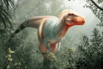 new tyrannosaurus