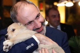 Armenian PM's family welcomes fifth dog, a present from Georgia