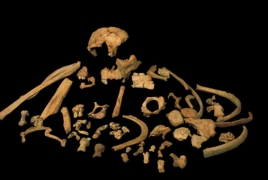 Homo antecessor is close relative to modern humans, Neanderthals: study