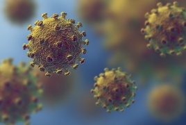 Chinese research shows coronavirus has up to 30 different strains now