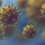 Chinese research shows coronavirus has up to 30 different strains now