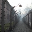 От коронавируса умер один из последних выживших узников Освенцима