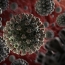 Karabakh reports three new coronavirus infections