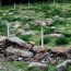 В Анкаре осквернили армянское кладбище: Вытащили останки из могил