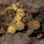 Israeli youths discover trove of 1,000-year-old gold coins