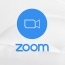 Zoom meetings hit by outage