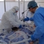 В Армении число активных больных коронавирусом превысило 9000