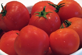 Ввоз в РФ томатов и перцев из Армавирской области Армении запрещен