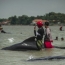 Dozens of pilot whales stranded in Indonesia die