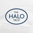 HALO Trust опроверг слухи о передаче туркам карты минных полей в Карабахе