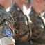Armenian peacekeepers take part in multinational exercises