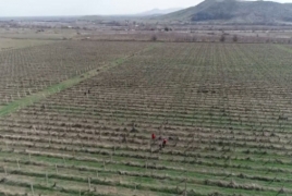 В Карабахе начались сельскохозяйственные работы при содействии миротворцев