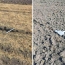 Armenia: Army publishes images of downed Azerbaijani drone