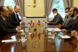 Глава МИД Армении обсудил азербайджанскую агрессию с коллегами из Сербии и Австрии