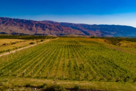 World's highest mountain organic vineyard founded in Armenia