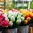 Ապրիլի 24-ին ծաղկի վաճառքը՝ բացառապես  Հալաբյան-Լենինգրադյան ստորգետնյա հանգույցում և Լենինգրադյան փողոցում