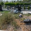 Турецкий историк сообщил о плачевном состоянии могилы эксперта по Геноциду армян Дадряна в Ереване