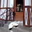 Դեսպանություն․ Գերմանիայի փոխդեսպանը ցնցված է Ջերմուկում տեսած ավերածություններից
