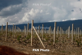 2022-ին սեզոնային զբաղվածության ծրագրից 1000-ից ավելի ընտանիք է օգտվել