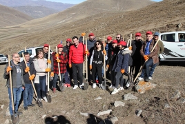 Viva-MTS: Program to grow forest on bald mountain kicks off