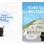 «Գնում ենք թանգարան» մանկական ինտերակտիվ գրքի շնորհանդեսը՝ Գաֆէսճեանում