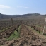 МВД Арцаха: Азербайджанцы открыли огонь по проводившим сельхозработы мирным жителям